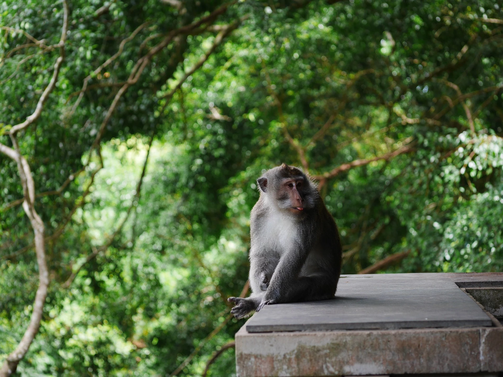 Indonesia: Bali, Lombok e Gili
